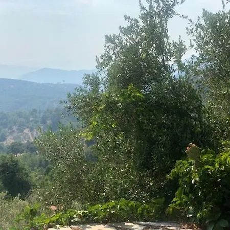 Case de vacanță Juicy Mountain Small *